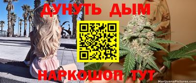дмт Тула